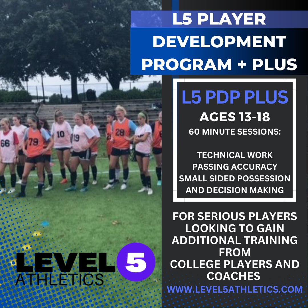 Player Development Program Plus. Ages 13-18. Technical work for serious players